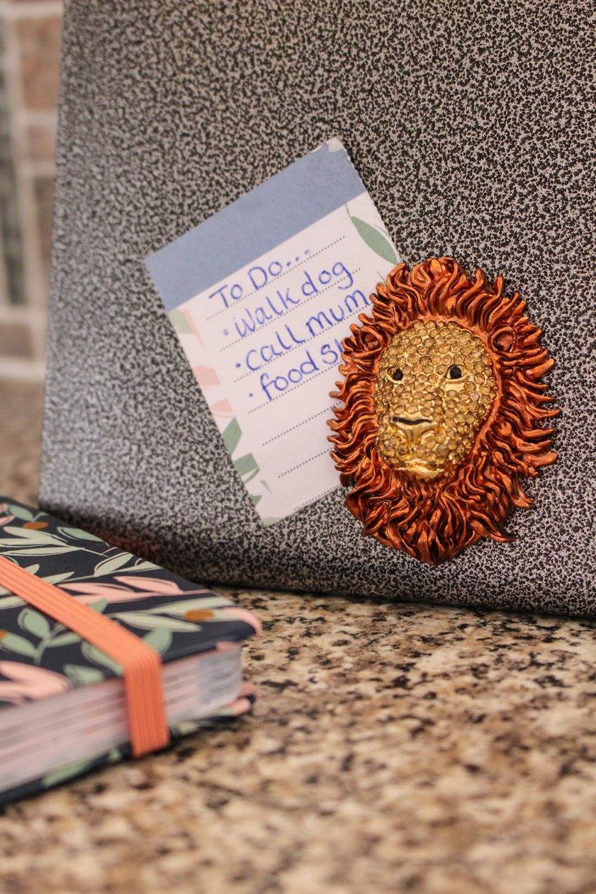 Lion Head Magnet Brown - Jungle Jewels