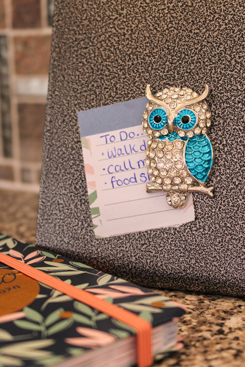 Owl Magnet Blue