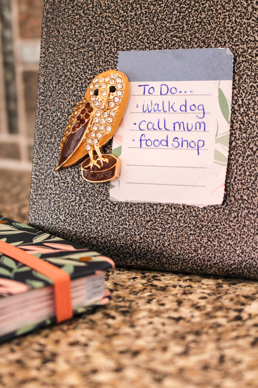 Owl Barn Magnet