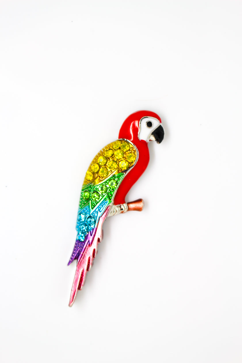 Parrot Magnet