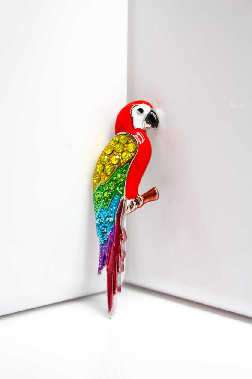 Parrot Magnet